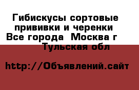 Гибискусы сортовые, прививки и черенки - Все города, Москва г.  »    . Тульская обл.